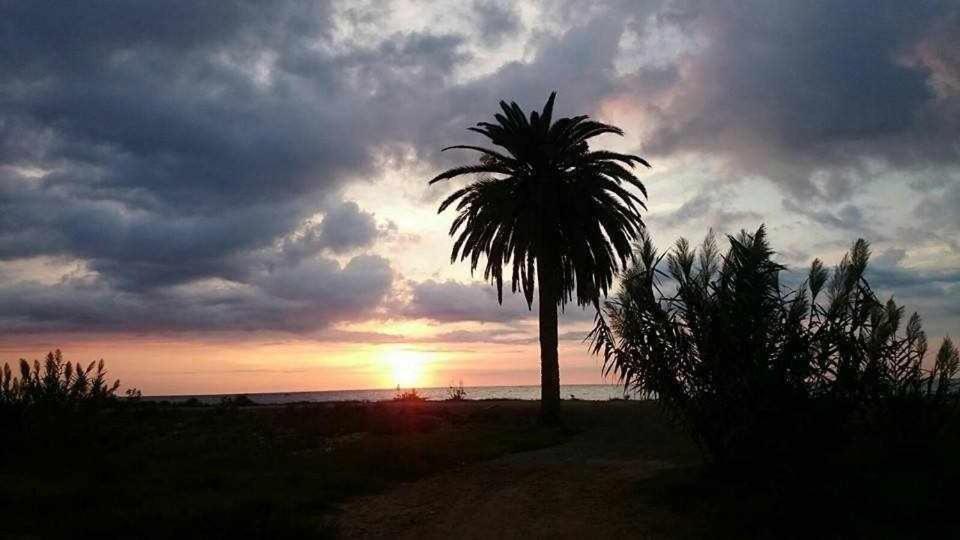 Mediterrania Marina Sagunto Esterno foto